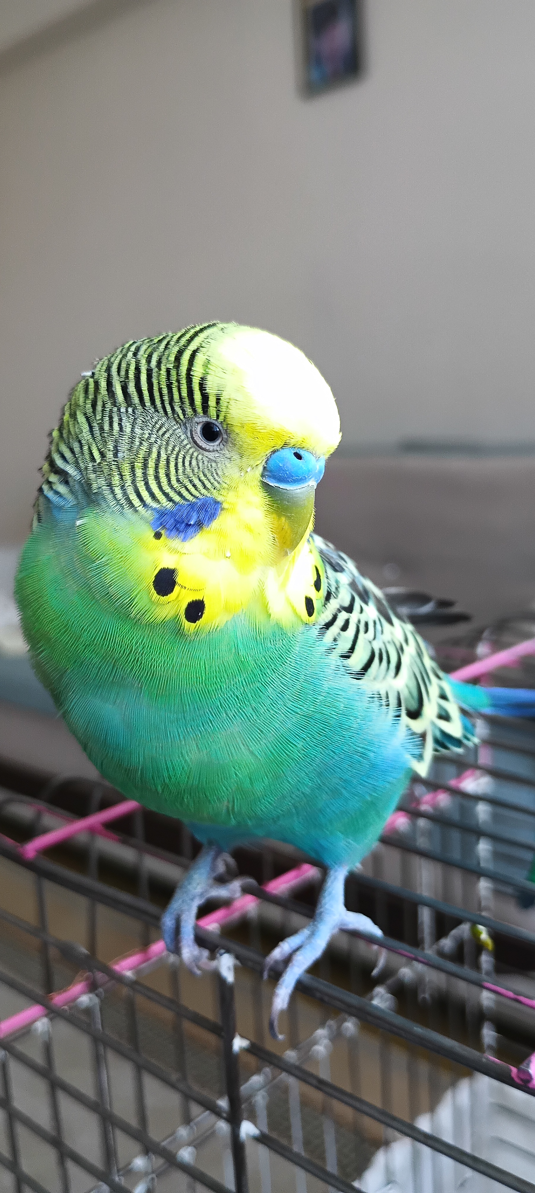 test222